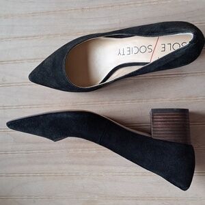 Sole Society Andorra Suede Leather Pointy Toe Chunky Heel Elegant Classy Pumps